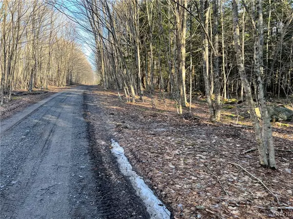 Forestport, NY 13338,00 Mohawk DR