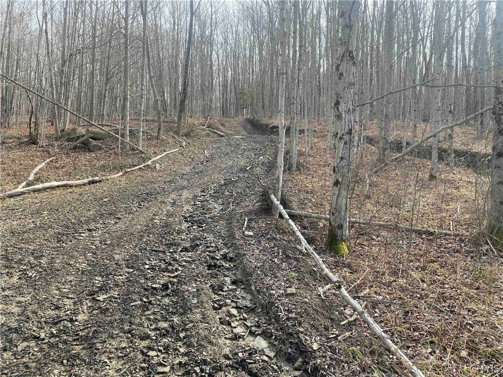 Angelica, NY 14709,3356 Joe Mcmahon RD