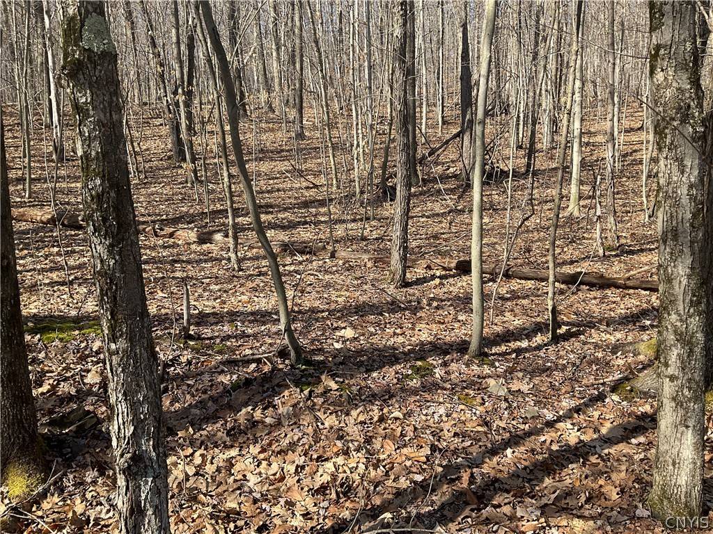 Binghamton, NY 13903,3041 Hance RD