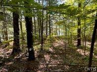 Morristown, NY 13664,0 Big Island/Lot 10