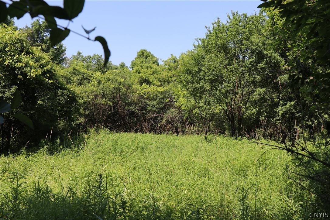 Syracuse, NY 13215,Lot 1 Mcdonald RD