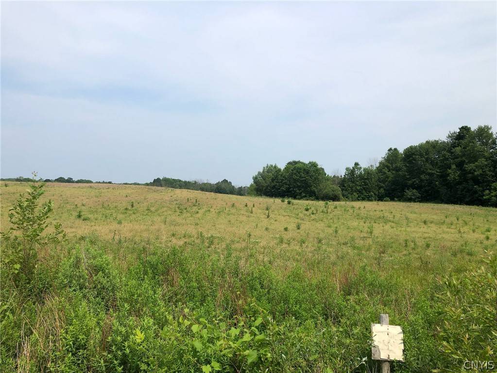 Oswego, NY 13126,00 Co Rt 53 - Lot #3