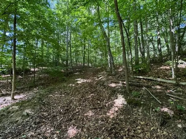 Big Flats, NY 14814,00 Monastery RD