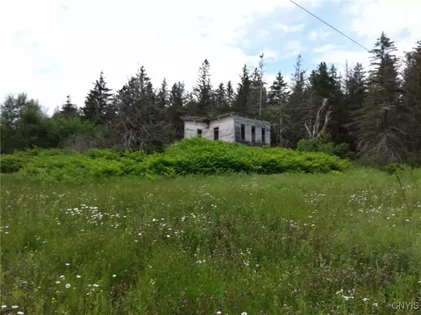 Ohio, NY 13324,0 Gray-Wilmurt RD