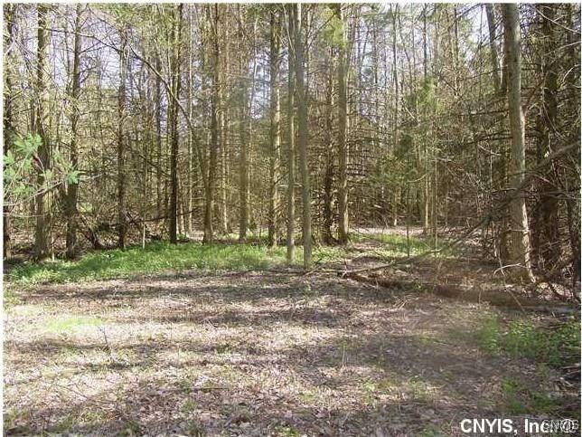 Canastota, NY 13032,0 Nelson RD