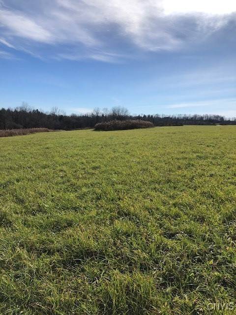 Mohawk, NY 13407,00 Kingdom RD