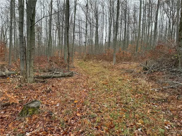 Dry Brook RD, Falconer, NY 14733