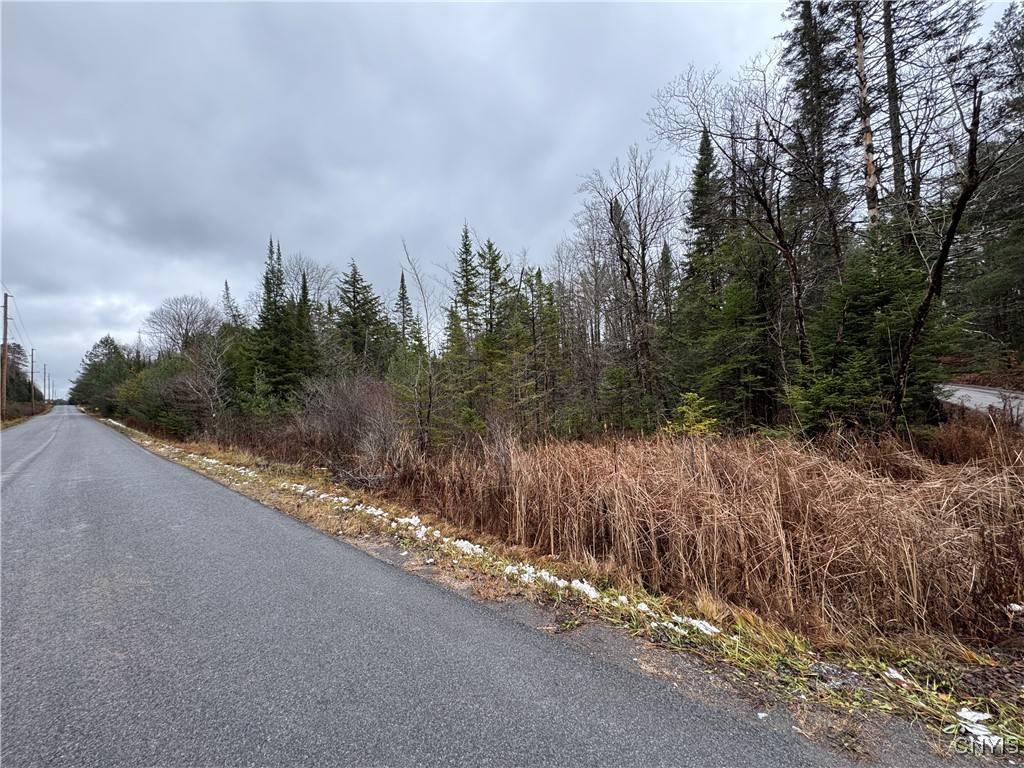 Alder Creek, NY 13301,Lot #1 Beaver Trail