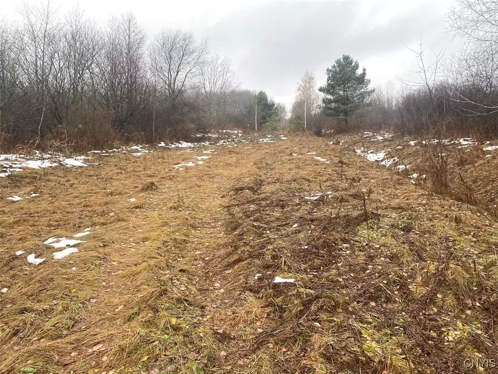 Friendship, NY 14739,4409 State Route 275