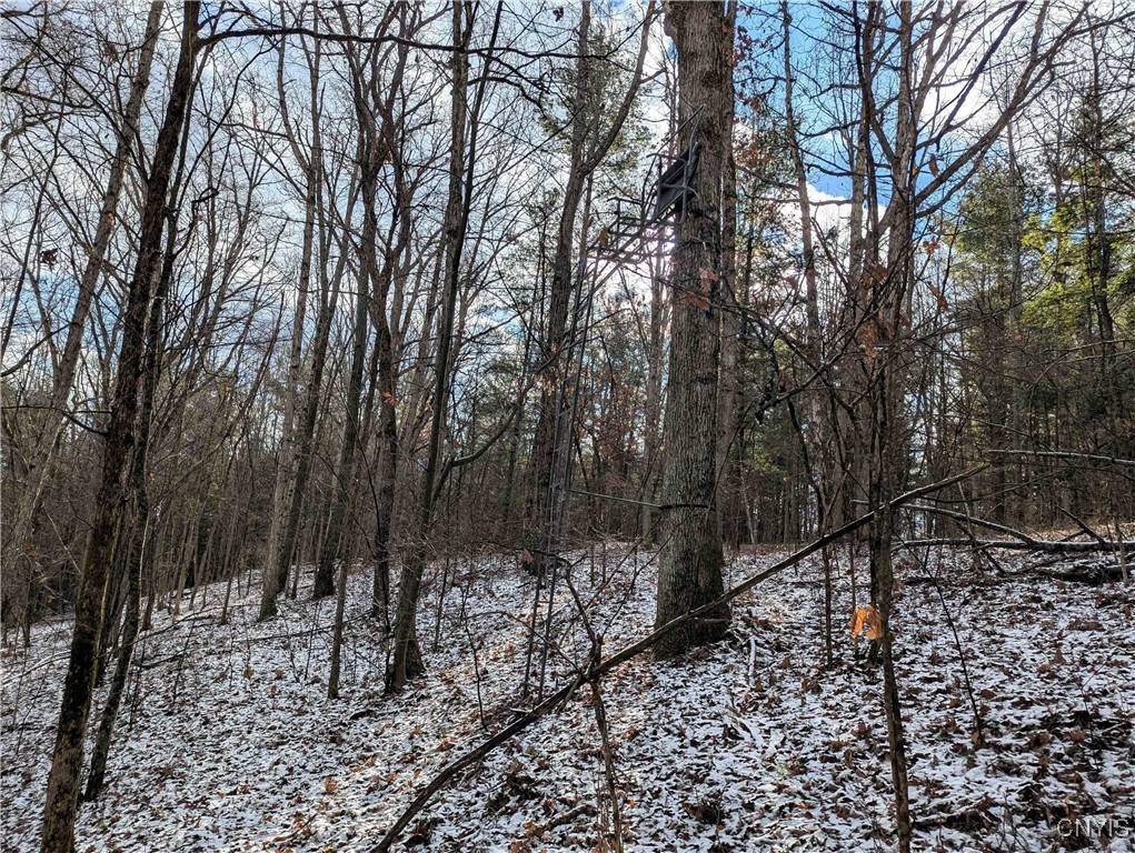 Cameron, NY 14819,Angel RD