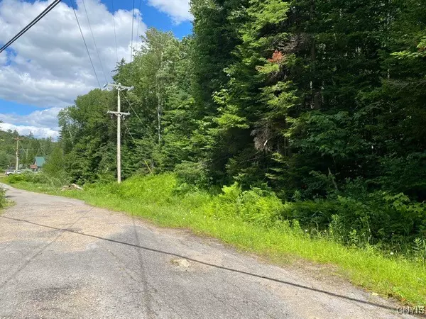 Thendara, NY 13472,Sequoia RD