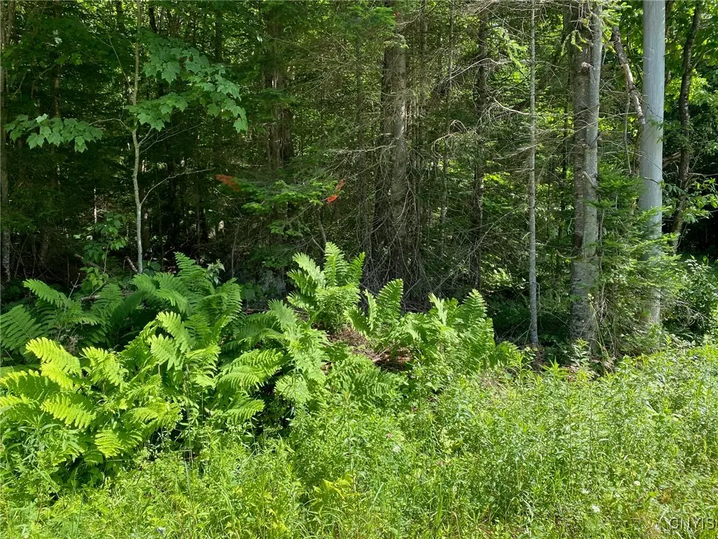 Thendara, NY 13472,Sequoia RD