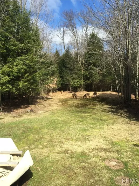 Camden, NY 13316,9831 W Steam Mill RD