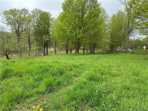 Carthage, NY 13619,Lot 2A NYS Route 126