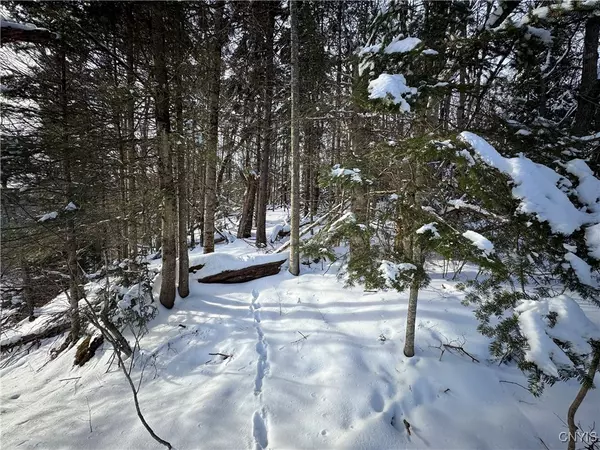 Constableville, NY 13325,00 Kotary RD