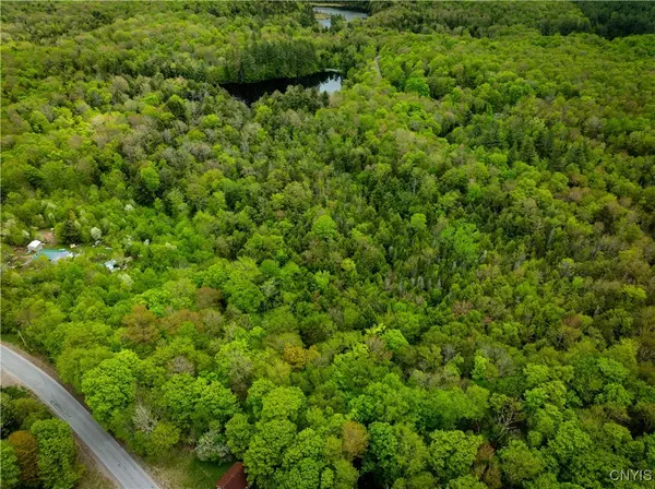 Remsen, NY 13438,Lot 32 Wheelertown RD