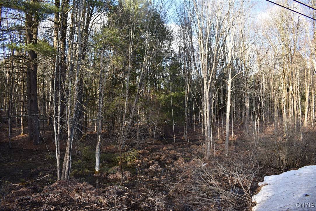 Constantia, NY 13044,Holly Hole RD