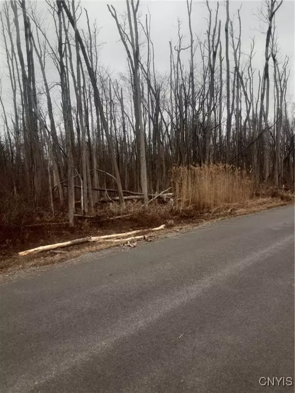 Canastota, NY 13032,0 St. Rt-31