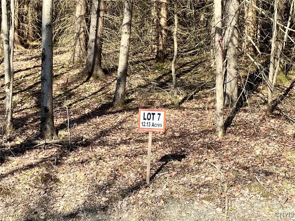 Windsor, NY 13865,50 Buchanan RD