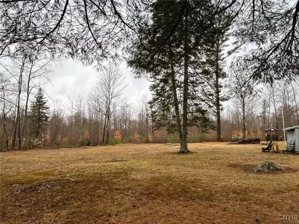 Port Leyden, NY 13433,9620 Moose River Road