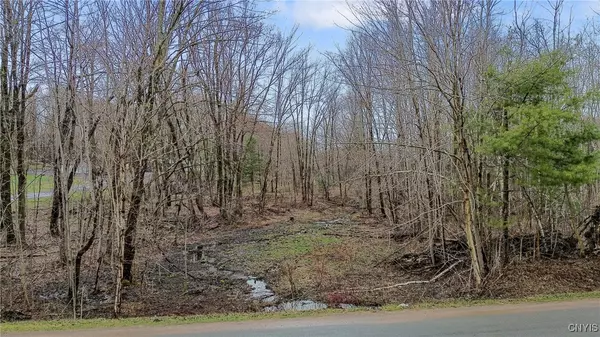 Hastings, NY 13076,Perfield RD