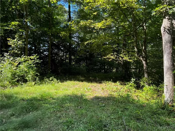 Chaumont, NY 13622,0 Conklin Drive ST N