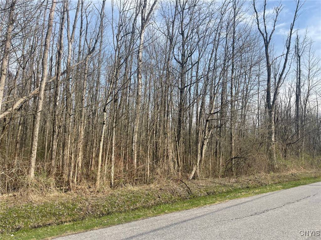 Canastota, NY 13032,Lewis Point RD