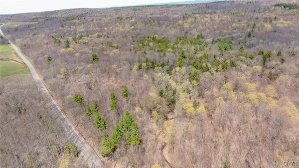 Camden, NY 13316,9.2 acres Van Buren RD