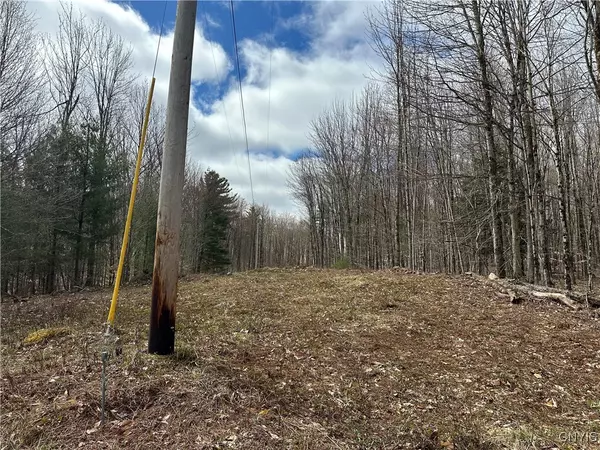Croghan, NY 13327,8564 Dicob RD