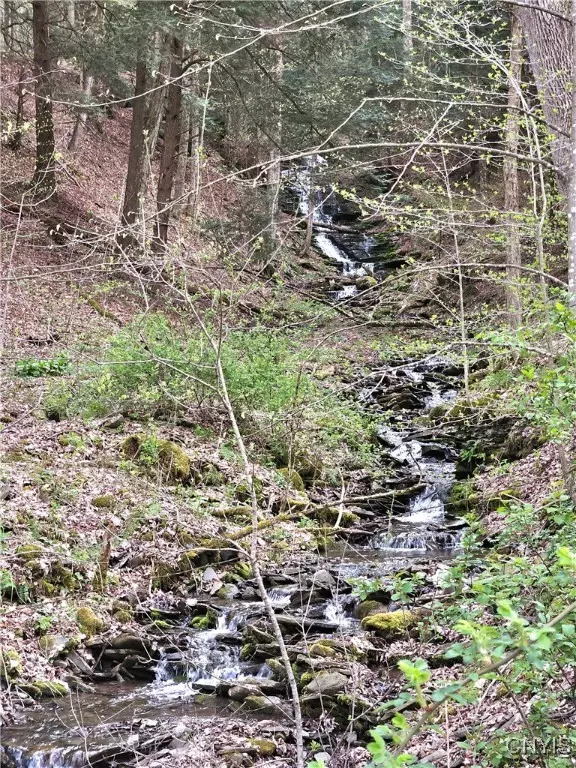 Truxton, NY 13158,4018 W Cheningo RD