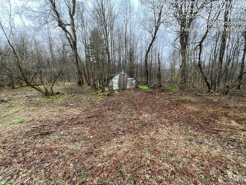Natural Bridge, NY 13665,3938 Factory RD