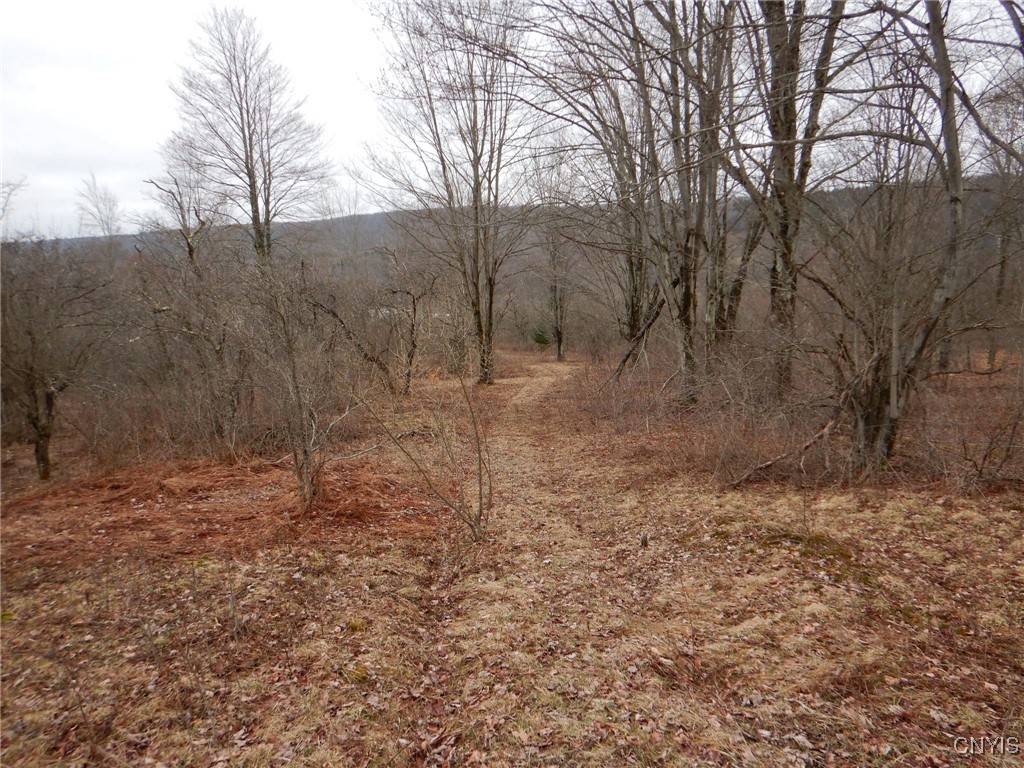 Angelica, NY 14804,County Road 16