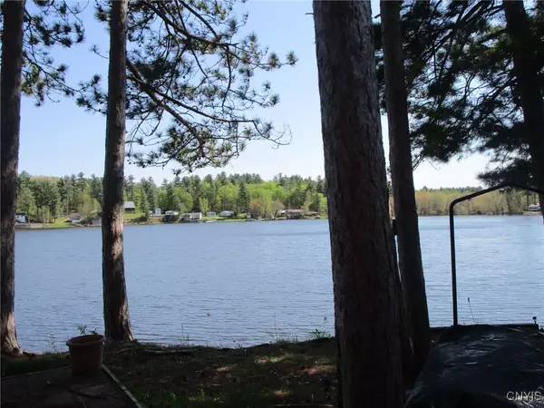 Hammond, NY 13646,156 Chapman Point RD