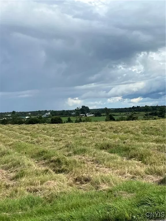 Evans Mills, NY 13637,31233 Elm Ridge RD