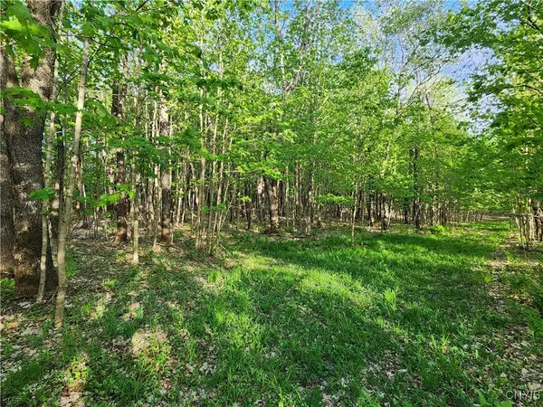 Lowville, NY 13367,3046 Boshart RD