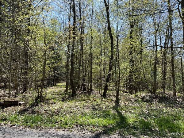 Lowville, NY 13367,Hemlock DR