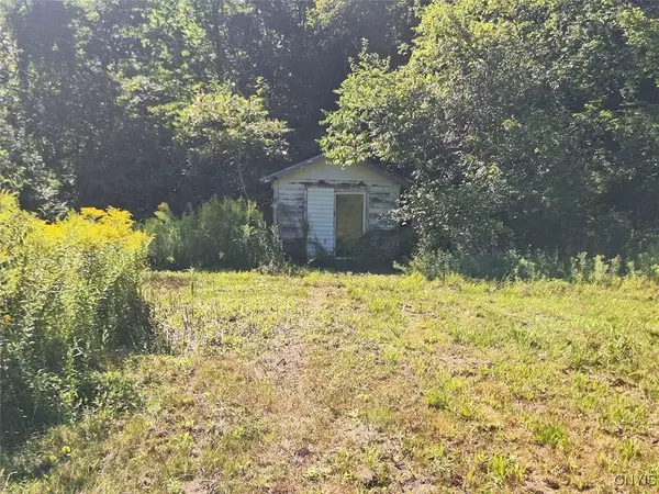 Frankfort, NY 13340,787 Dutch Hill RD