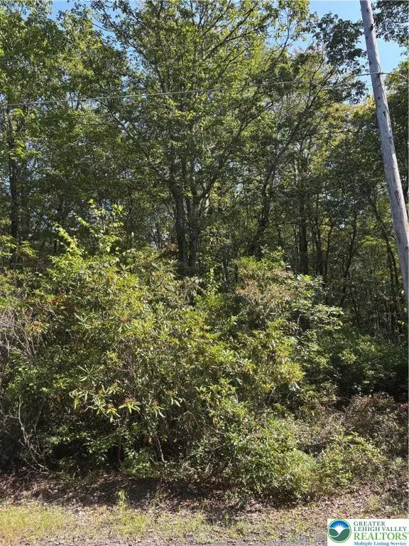 Lot B9 W Clarkes LN, Penn Forest Twp, PA 18229