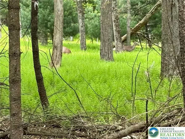 357 Buskirk LN #T,  Eldred Twp,  PA 18353