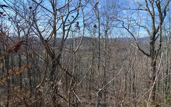 Hayesville, NC 28904,Lot 60M Mountain Harbour