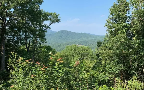 Warne, NC 28909,Lot 7 Golden Oaks Estate