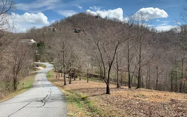 Hayesville, NC 28904,Lot 42 Dan Knob