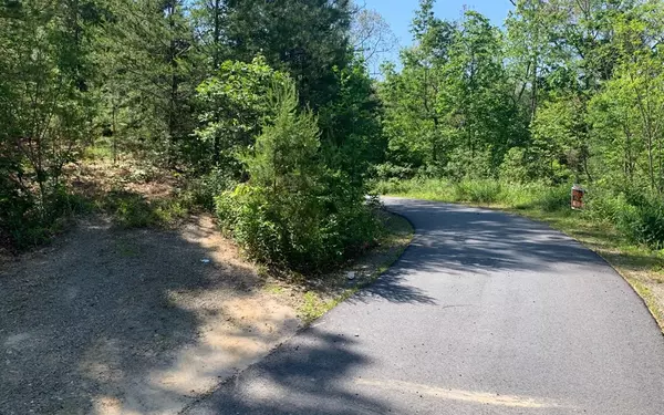 Brasstown, NC 28902,Lot 4A Trillium Heights