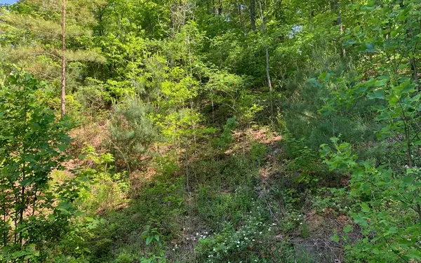 Brasstown, NC 28902,Lot 4A Trillium Heights