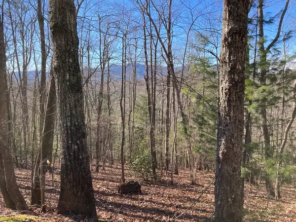 Murphy, NC 28906,Lot 31 High Ridge Road