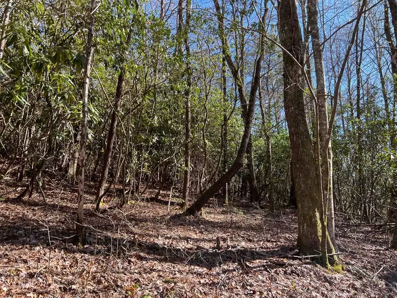 4.90 Wayah Road (Hwy 1310), Nantahala, NC 28781