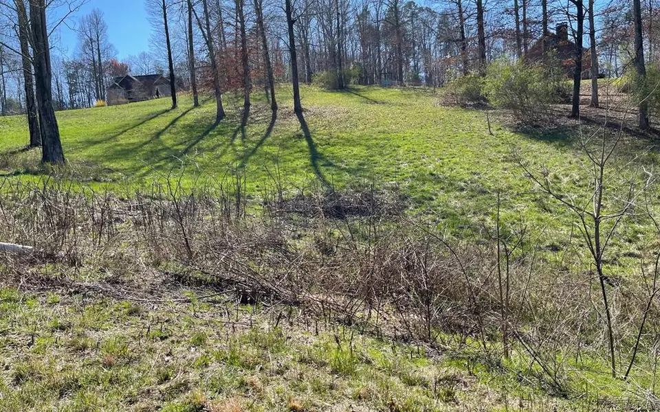 Lot 16 Pleasant Meadows, Blairsville, GA 30512