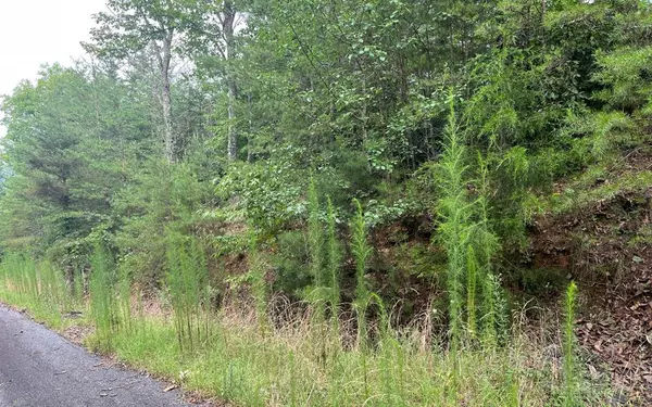 Lot 8 The Preserve, Brasstown, NC 28902