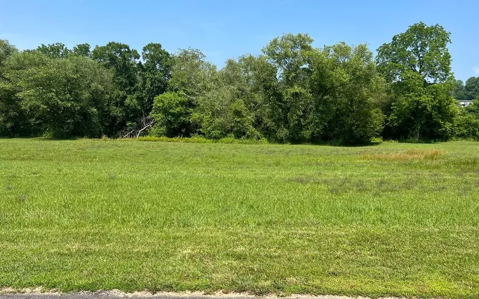 Lot 55 Brasstown Trails, Brasstown, NC 28902