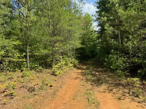 Marble, NC 28905,Lot 14 Paradise Mountain